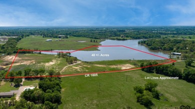 Lake Commercial For Sale in Grand Saline, Texas