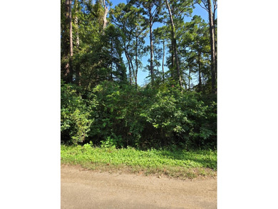 Toledo Bend Lake Lot For Sale in Burkeville Texas