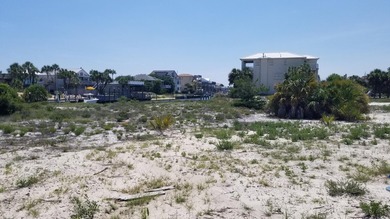This Is One Of Those Legacy Lots You Rarely See For Sale. HUGE 0 - photo 3