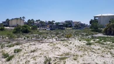 This Is One Of Those Legacy Lots You Rarely See For Sale. HUGE 0 - photo 4