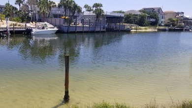 This Is One Of Those Legacy Lots You Rarely See For Sale. HUGE 0 - photo 9