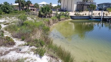 This Is One Of Those Legacy Lots You Rarely See For Sale. HUGE 0 - photo 10