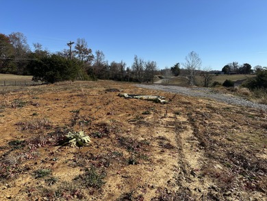 Lake Cumberland Lot For Sale in Monticello Kentucky