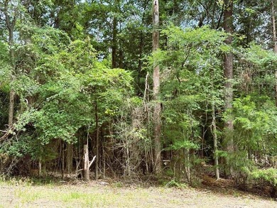 Incredible opportunity to own a spacious lot (over half acre) in - photo 2