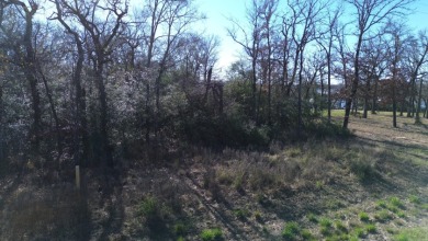 Water View Lake Lot (1 Acre) - photo 6