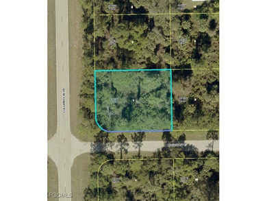 Lehigh Acres Area Lot For Sale in Lehigh Acres Florida