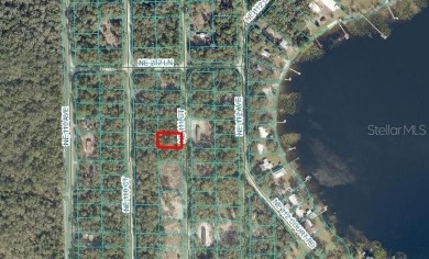 Lake Lot For Sale in Fort Mccoy, Florida