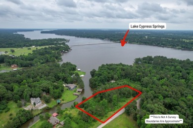 Lake Cypress Springs Lot For Sale in Scroggins Texas