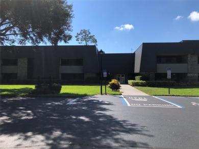 (private lake, pond, creek) Condo For Sale in Palm Harbor Florida