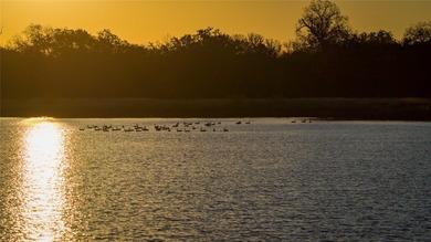 Finding nearly 1,000 acres of productive ranch land this close - photo 5