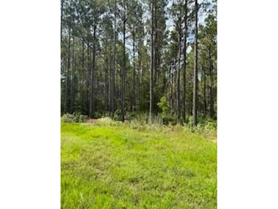 Lake Sam Rayburn  Acreage For Sale in Pineland Texas