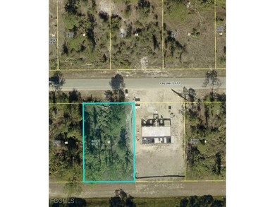 Lehigh Acres Area Lot For Sale in Lehigh Acres Florida