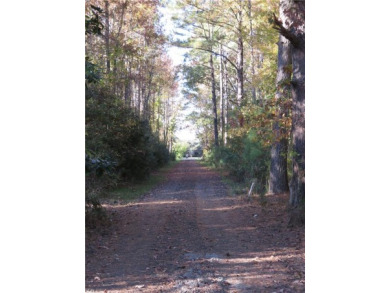 Lake Lot For Sale in Seaford, Virginia