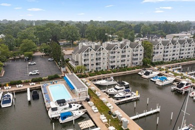 Lake Michigan - Berrien County Condo For Sale in New Buffalo Michigan