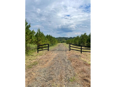 A secluded 52- acre tract features a young timber plantation - photo 1