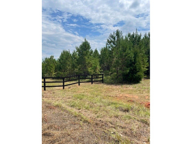 A secluded 52- acre tract features a young timber plantation - photo 2