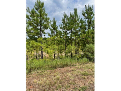 A secluded 52- acre tract features a young timber plantation - photo 3