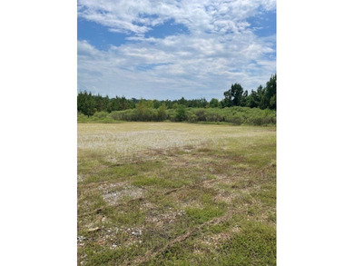 A secluded 52- acre tract features a young timber plantation - photo 4