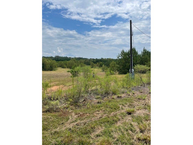 A secluded 52- acre tract features a young timber plantation - photo 5