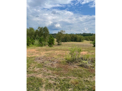 A secluded 52- acre tract features a young timber plantation - photo 6