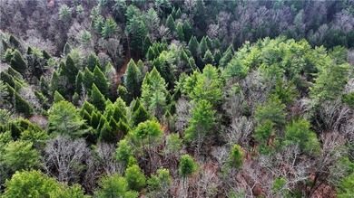 INCREDIBLE, WATERFRONT APPALACHIAN HIDEAWAY WITH MILLION DOLLAR - photo 17