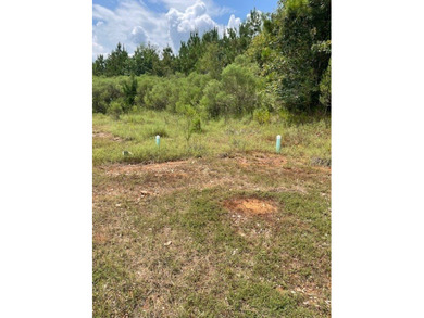 A secluded 52- acre tract features a young timber plantation - photo 7