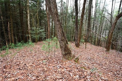 INCREDIBLE, WATERFRONT APPALACHIAN HIDEAWAY WITH MILLION DOLLAR - photo 18