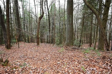 INCREDIBLE, WATERFRONT APPALACHIAN HIDEAWAY WITH MILLION DOLLAR - photo 19