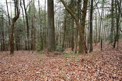 INCREDIBLE, WATERFRONT APPALACHIAN HIDEAWAY WITH MILLION DOLLAR - photo 20