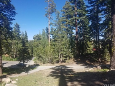 Bear Lake Lot For Sale in Bear Valley California