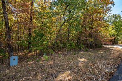 Side by side lots with a view of Lake Cortez. View is from the - photo 7