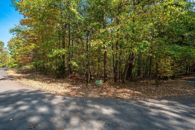 Side by side lots with a view of Lake Cortez. View is from the - photo 9