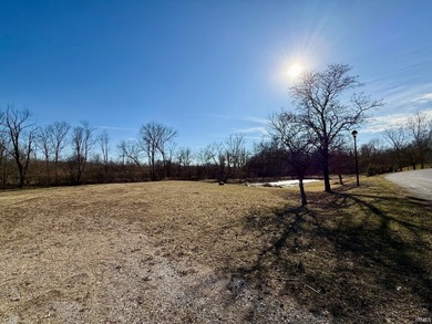 Rare opportunity to own the last available lot in desirable - photo 6