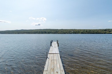 Phenomenal Crystal Lake setting for this exceptional property! - photo 45