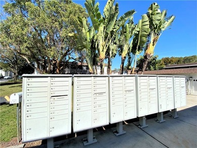 Looking for that fresh vibrant *move-in ready* energy? A RARE - photo 49