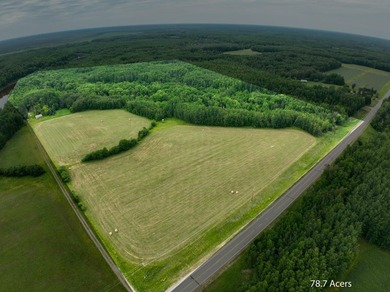 Fantastic opportunity to own nearly 80 acres of pristine - photo 1