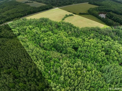 Fantastic opportunity to own nearly 80 acres of pristine - photo 2