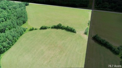 Fantastic opportunity to own nearly 80 acres of pristine - photo 4