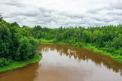 Fantastic opportunity to own nearly 80 acres of pristine - photo 5