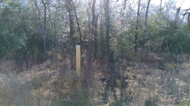 Lake Lot For Sale in Marquez, Texas