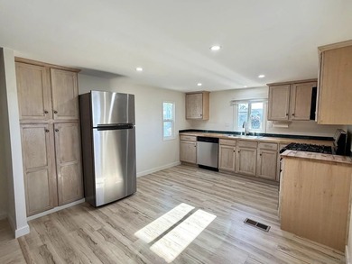 Fully remodeled 2-bedroom, 1 bathroom manufactured home - photo 4