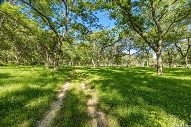 Where the Hill Country Meets the Blanco River. This property - photo 31