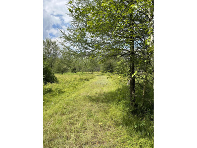Little Cub Lake Acreage For Sale in Laona Wisconsin