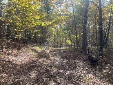 Discover a rare opportunity to own 360+/- acres of mature, mixed - photo 3