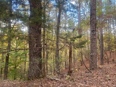Discover a rare opportunity to own 360+/- acres of mature, mixed - photo 5