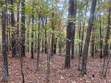 Discover a rare opportunity to own 360+/- acres of mature, mixed - photo 6