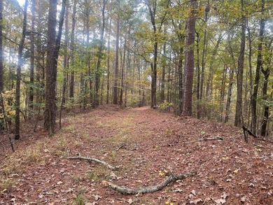 Discover a rare opportunity to own 360+/- acres of mature, mixed - photo 7