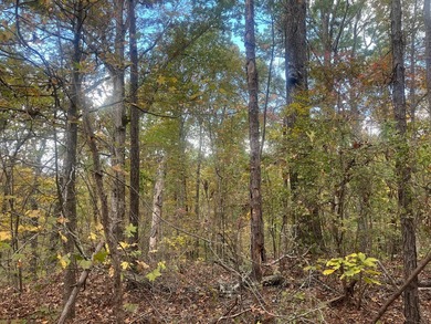 Discover a rare opportunity to own 360+/- acres of mature, mixed - photo 8