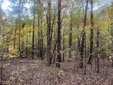 Discover a rare opportunity to own 360+/- acres of mature, mixed - photo 9