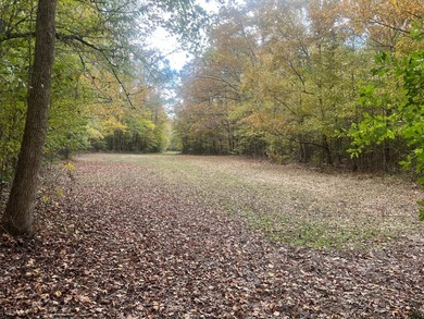 Discover a rare opportunity to own 360+/- acres of mature, mixed - photo 10